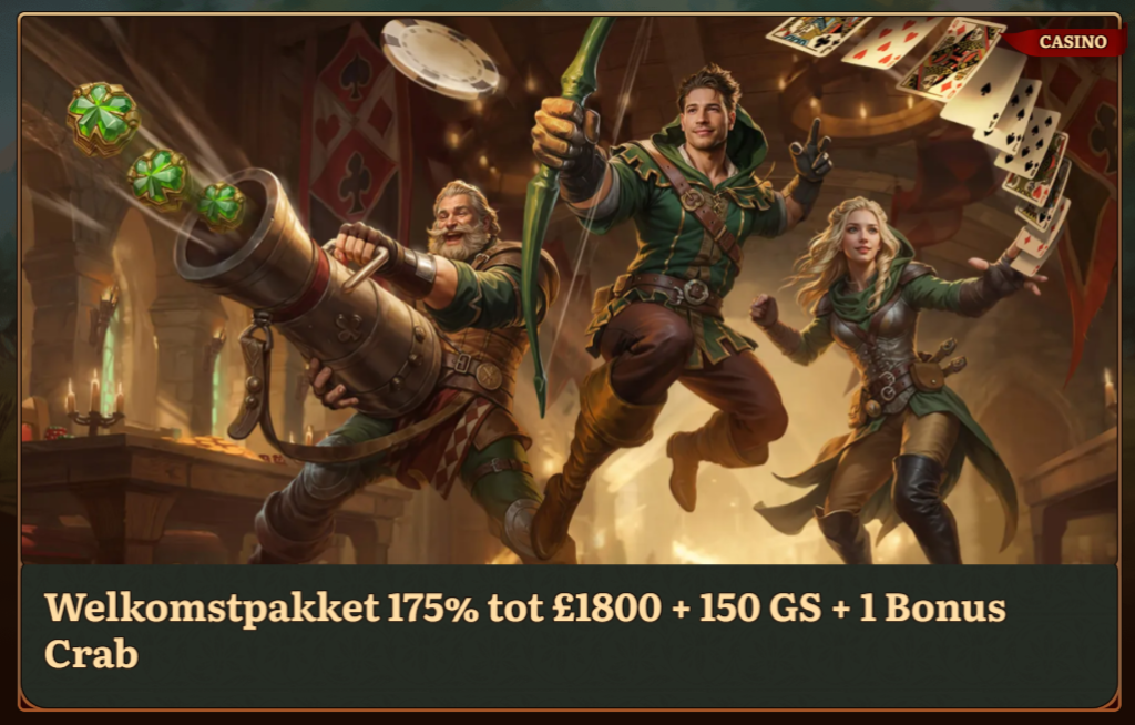 Welkomstbonus voor onze nieuwe spelers Wild Robin Casino